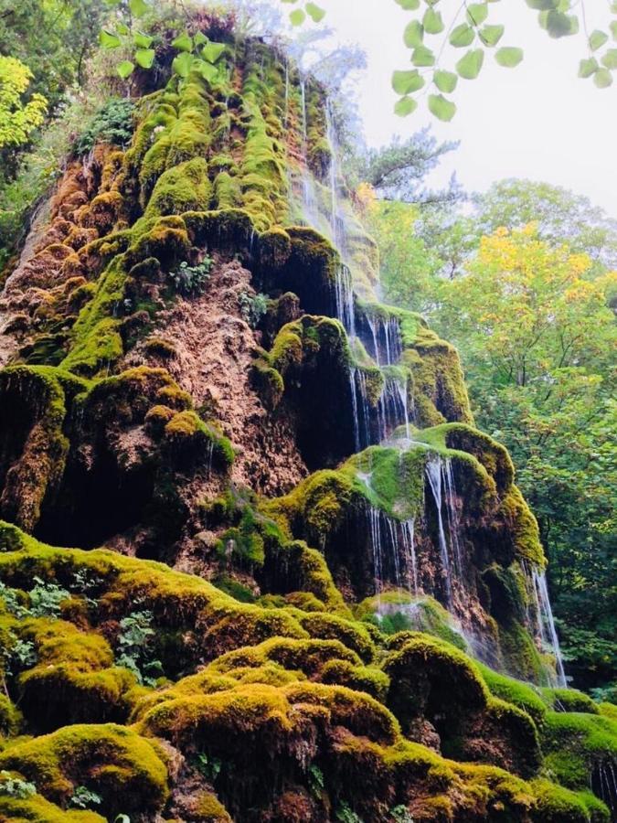 Les Glycines, Charmant Studio Au Calme Dans Batisse De Maitre Proche Du Centre Ville Parking Gratuit Digne-les-Bains Zewnętrze zdjęcie
